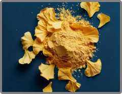 NitricBoost Ultra Ginkgo Biloba